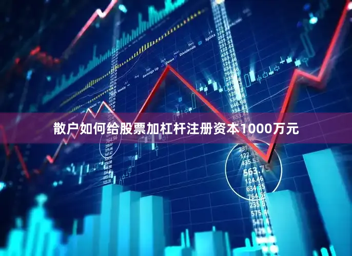 散户如何给股票加杠杆注册资本1000万元