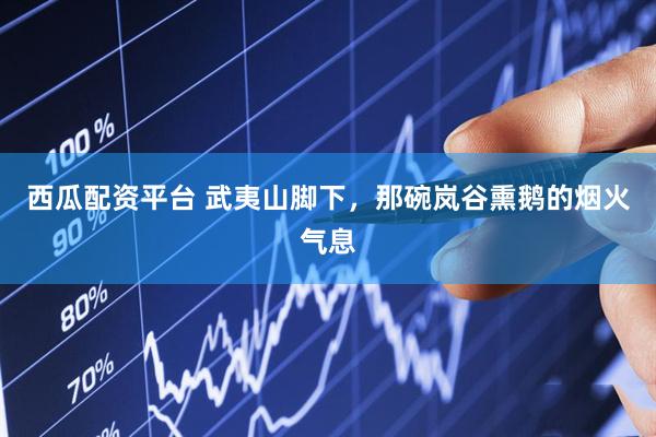 西瓜配资平台 武夷山脚下，那碗岚谷熏鹅的烟火气息