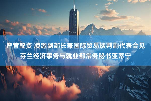 严管配资 凌激副部长兼国际贸易谈判副代表会见芬兰经济事务与就业部常务秘书亚蒂宁