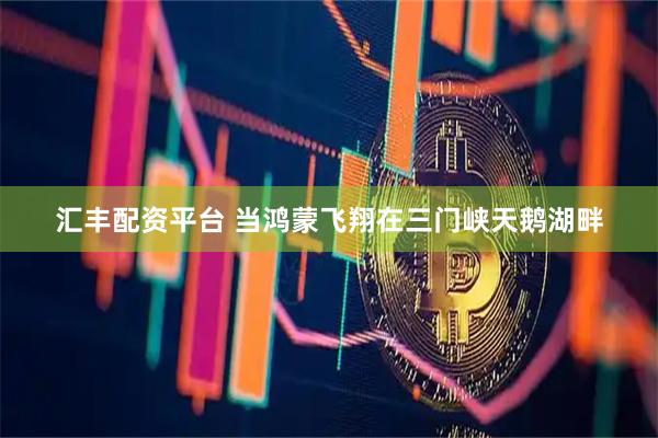 汇丰配资平台 当鸿蒙飞翔在三门峡天鹅湖畔